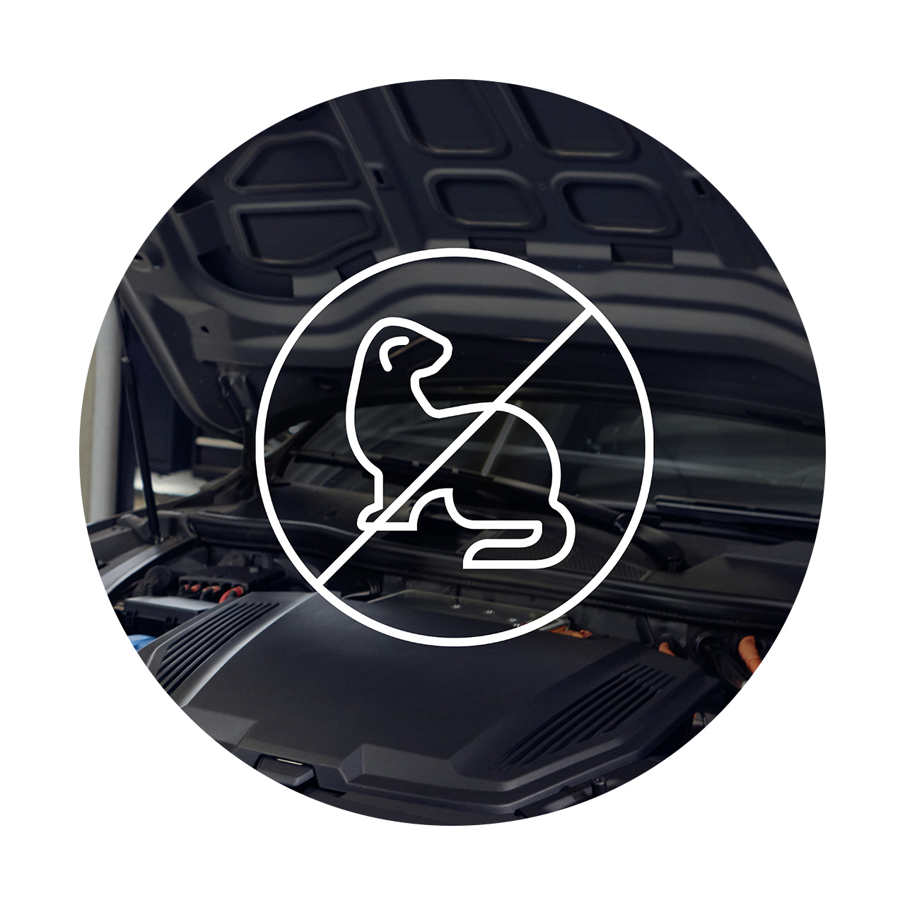 Geöffneter Motorraum eines Autos mit Symbol eines durchgestrichenen Marders als Hinweis auf Marderabwehrsystem.